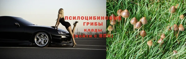 мефедрон Богородицк
