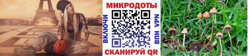 Псилоцибиновые грибы прущие грибы  цена наркотик  Суворов 